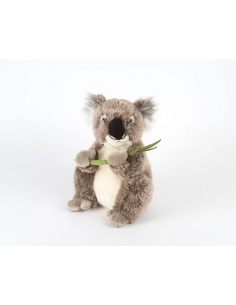 Peluche Koala