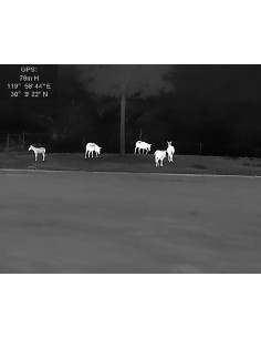 Jumelles de Vison Thermique... 2