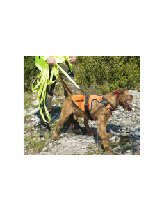 Gilet Harnais Signal Chien 2