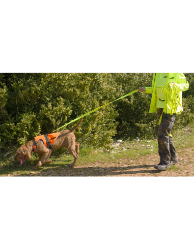 Gilet Harnais Signal Chien Gilet Harnais Signal Chien
