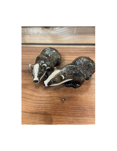 Salière poivrier blaireaux