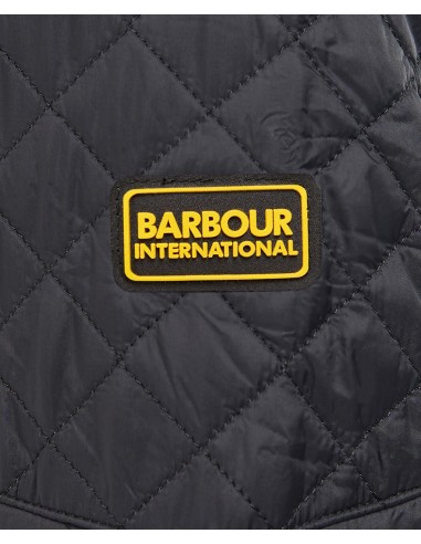 Veste Barbour Formation