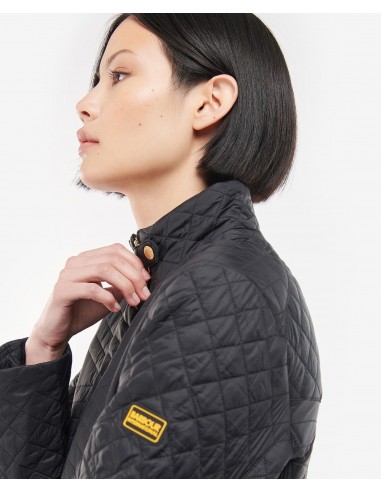 Veste Barbour Formation