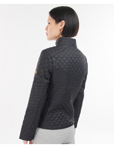 Veste Barbour Formation