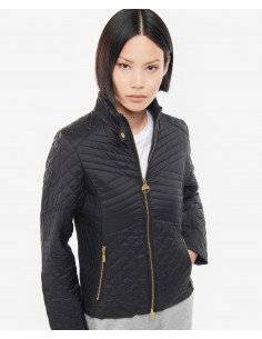 Veste Barbour Formation