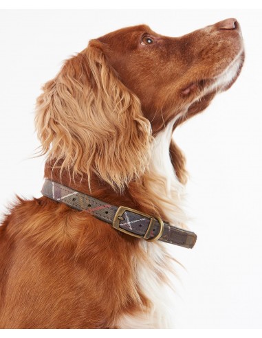 Collier Barbour Collier Barbour