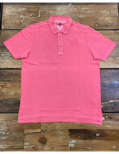 Polo Alan Paine Weymouth rose