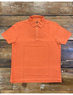 Polo Alan Paine Weymouth...