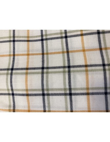 Chemise Alan Paine classic fit