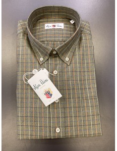 Chemise Alan Paine Button Down