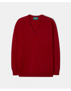 Pull Alan Paine col v 2