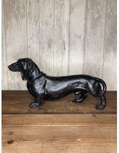 Grand teckel anthracite