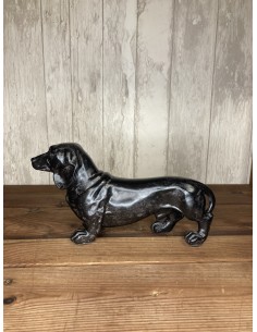 Petit teckel anthracite