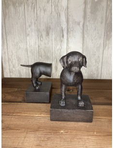 Serre livres beagle 2