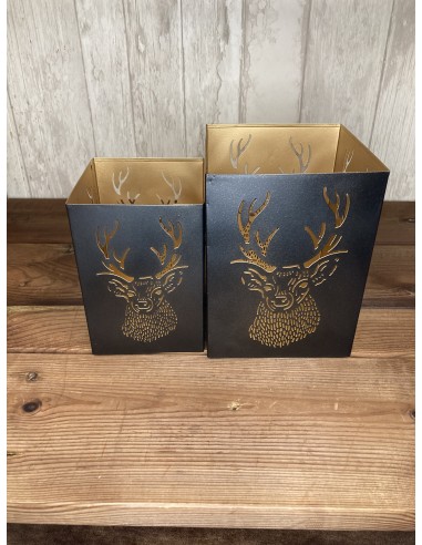 Photophore Hirsch petit model