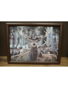 Cadre Coussin cerf