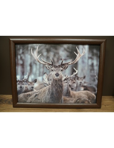 Cadre Coussin cerf