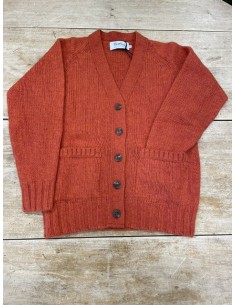 Gilet Harley flame