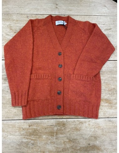 Gilet Harley flame