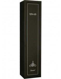 Armoire Forte Jiga Sentinel...